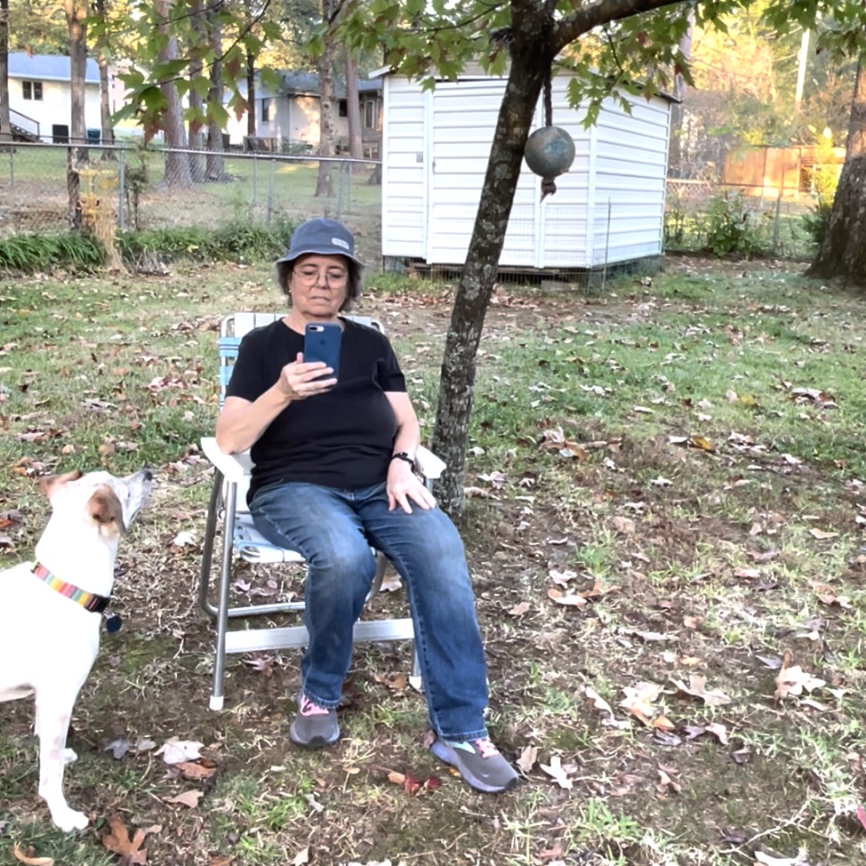 A woman sits in a chair under a tree looking at her phone. A dog toy is hanging in the tree. In the left of the photo there is a white dog with brown on his ears and face standing and staring at the woman. The toy is out of his reach.