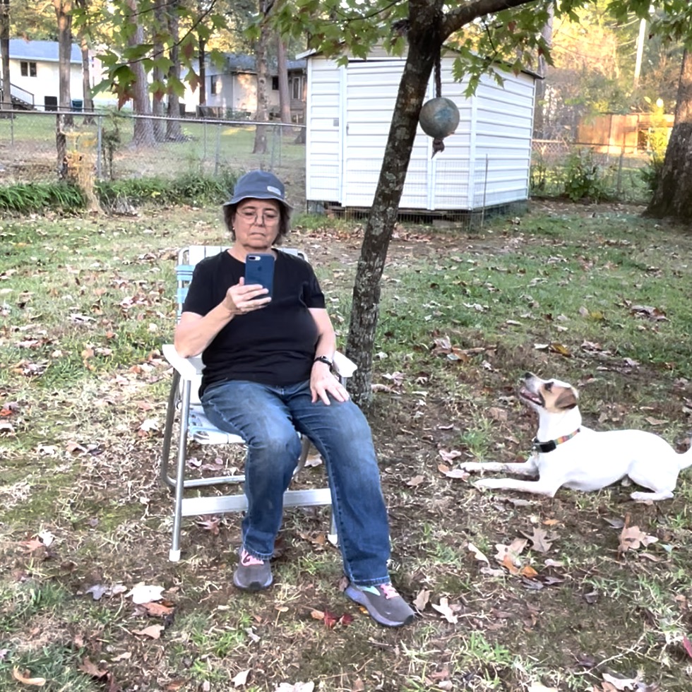 A woman sits in a chair under a tree looking at her phone. A dog toy is hanging in the tree. There is a white dog with brown on his ears and face lying down close to the tree and looking up at the toy. The toy is out of his reach.