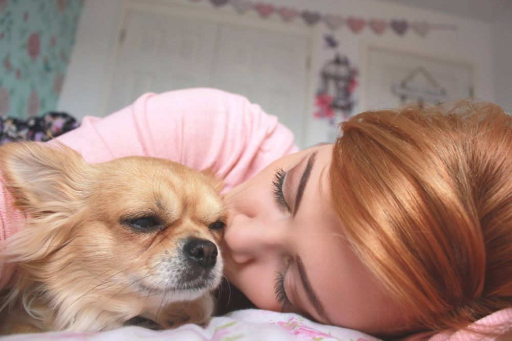 Red hair woman laying down kissing long hair chihuahua.