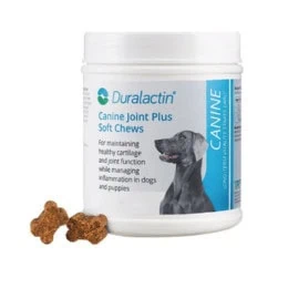 Duralactin soft chews for arthritis dogs