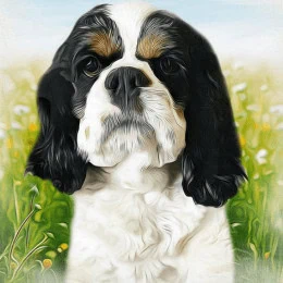 Cocker Spaniel watercolor art