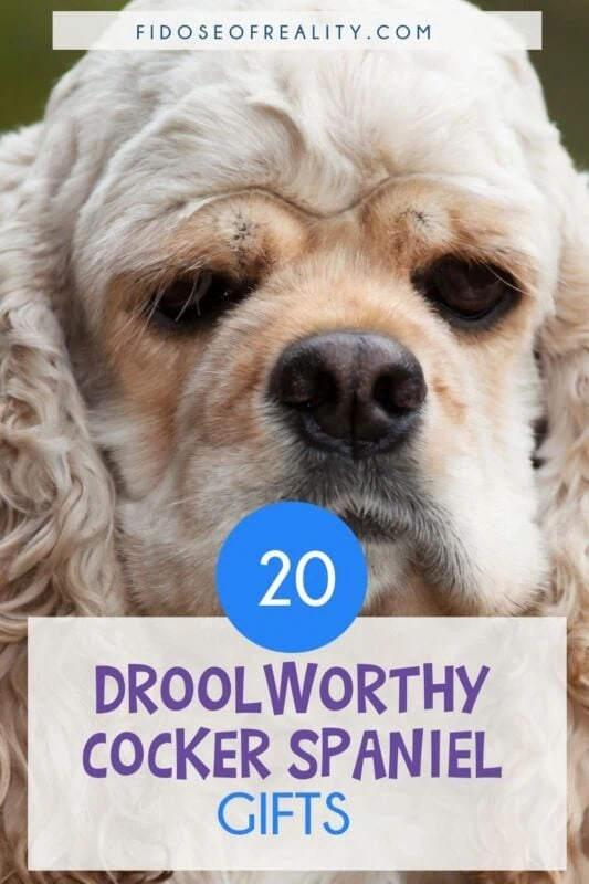 Droolworthy Cocker Spaniel gift ideas