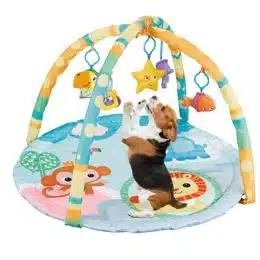 puppy play gym