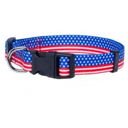 Patriotic collar for dogs