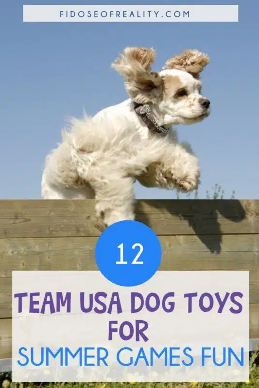 Team USA dog toys for summer games fun as Cocker leaps