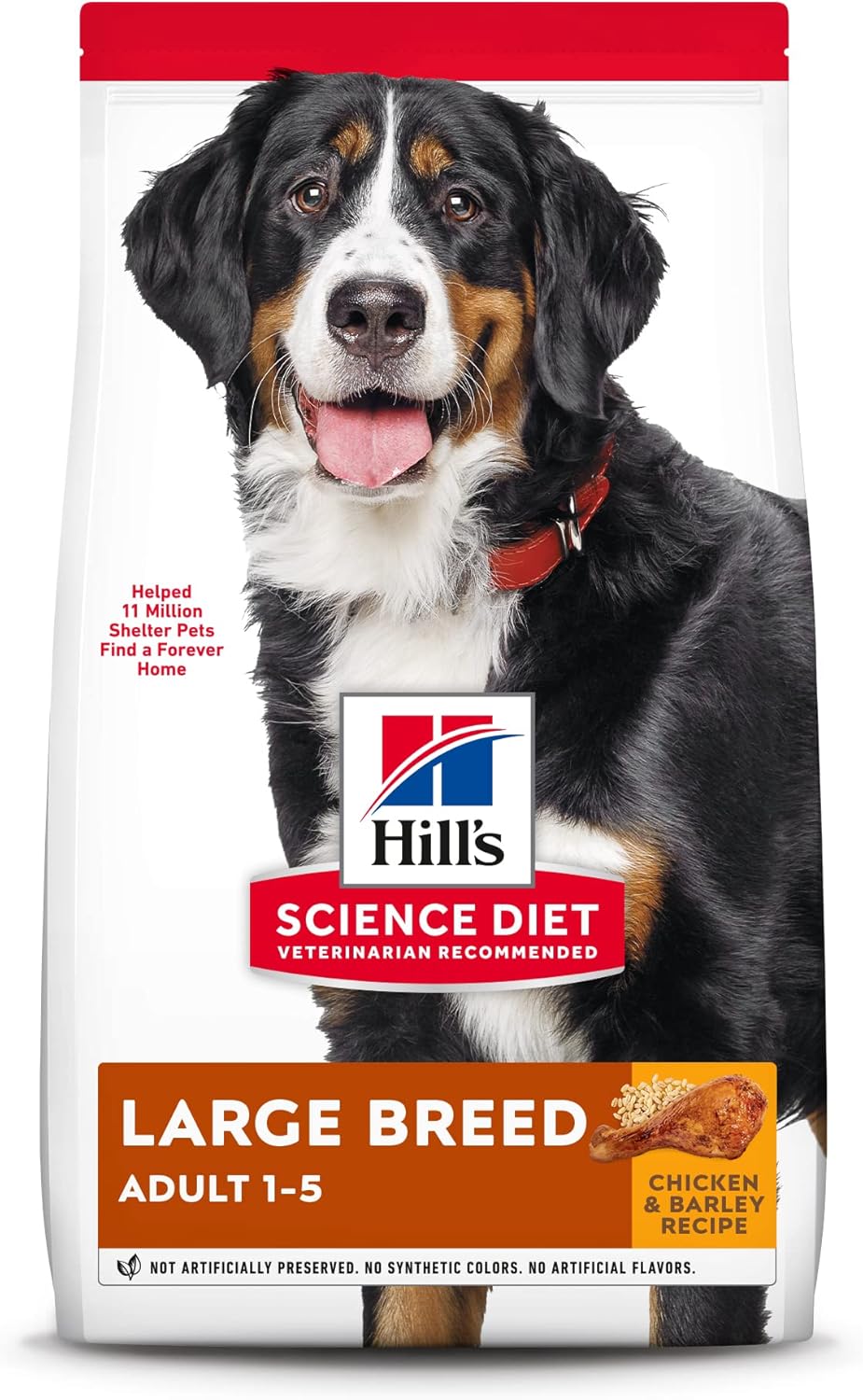 best dry dog food for bernese mountain dogs