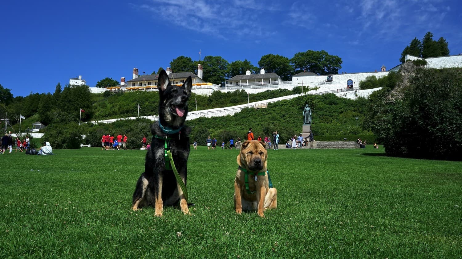 Michigan's Top Pet Friendly Attraction: Mackinac Island | GoPetFriendly.com