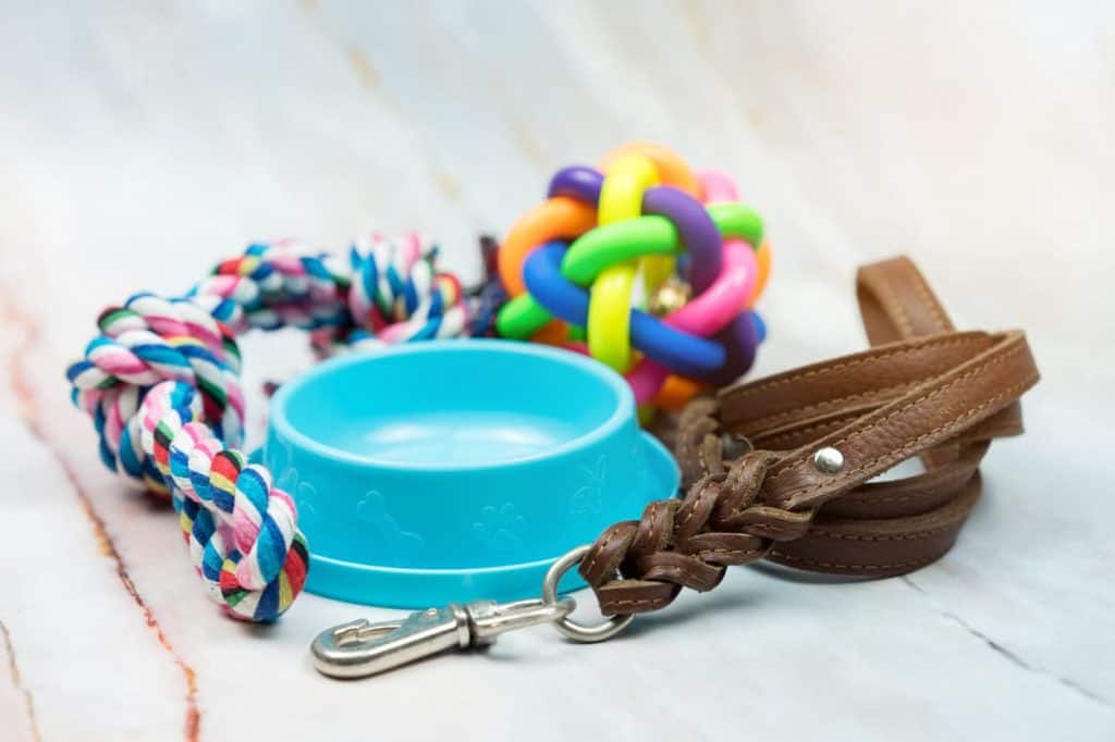 Dog dish, leash, toys