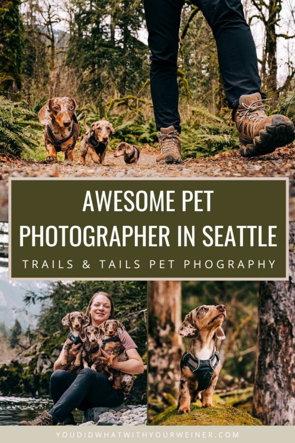 Are you looking for a professional pet photographer that can take photos of you hiking with your dog or take end of life portraits of your senior adventure dog? Bee at Tails & Trails Pet Photography is great. Check out my experience here.