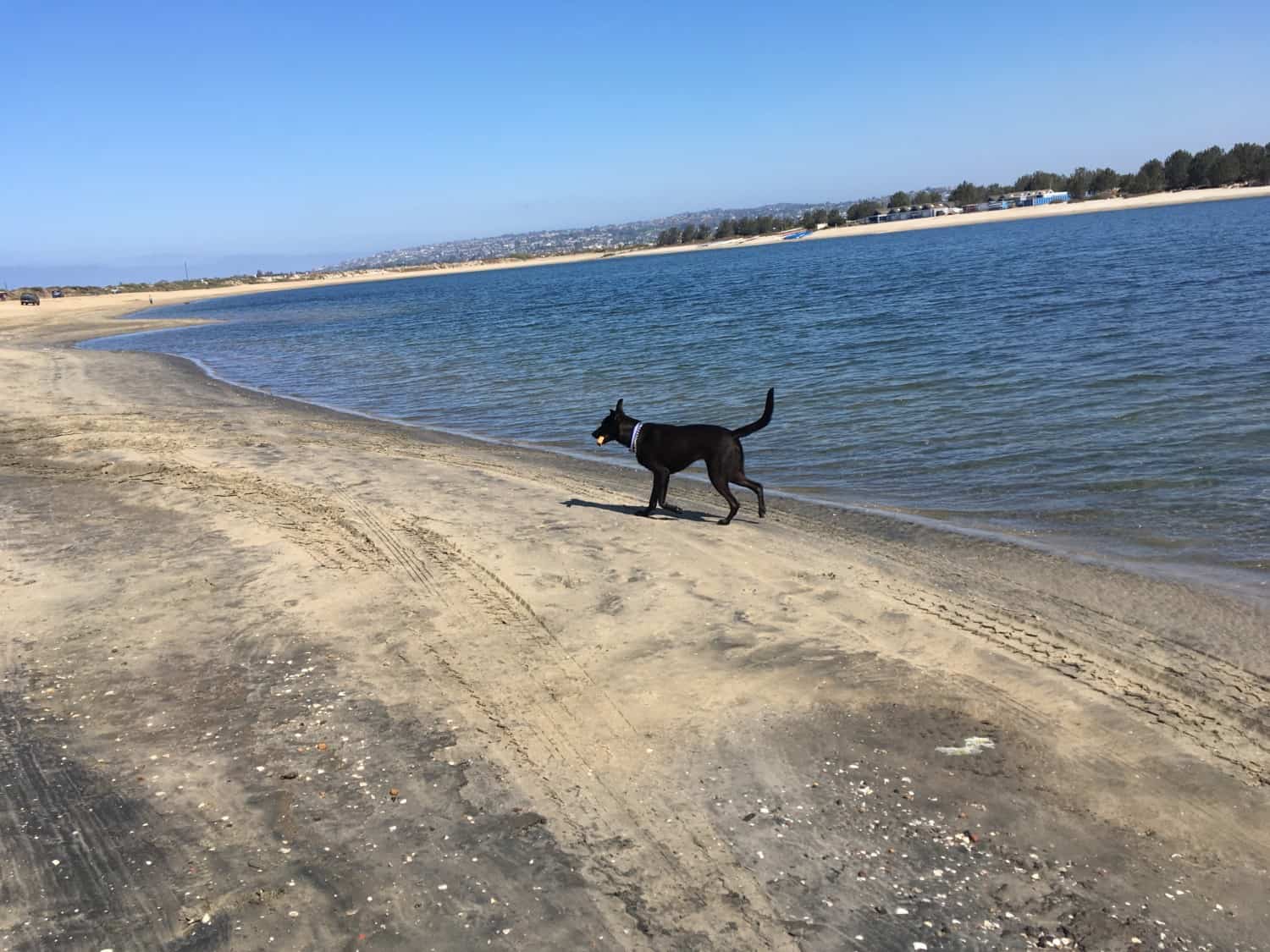 Fiesta Island - San Diego, CA