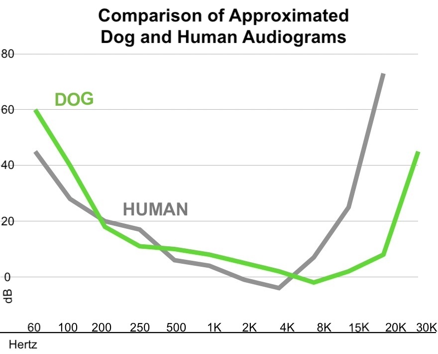 The title of this graph image is "Comparison of Approximated dog and Human Audiograms." The x axis is Hertz, ranging from 60 Hz to 30 kHz. The y axis is decibels.

There is a line plotted for human hearing, and a line for dog hearing. They are bowl-shaped: lowest in the middle and high on the sides. This represents that both species can hear frequencies in their mid-range at the lowest decibel levels. The graph also shows that human hearing is more sensitive at low frequencies, and dog hearing is much, much more sensitive at high frequencies.

This is elaborated on in the text following the image.