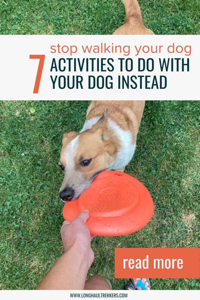 I think you should stop walking your dog. Uh what? Read the article to see why and learn what I recommend instead.