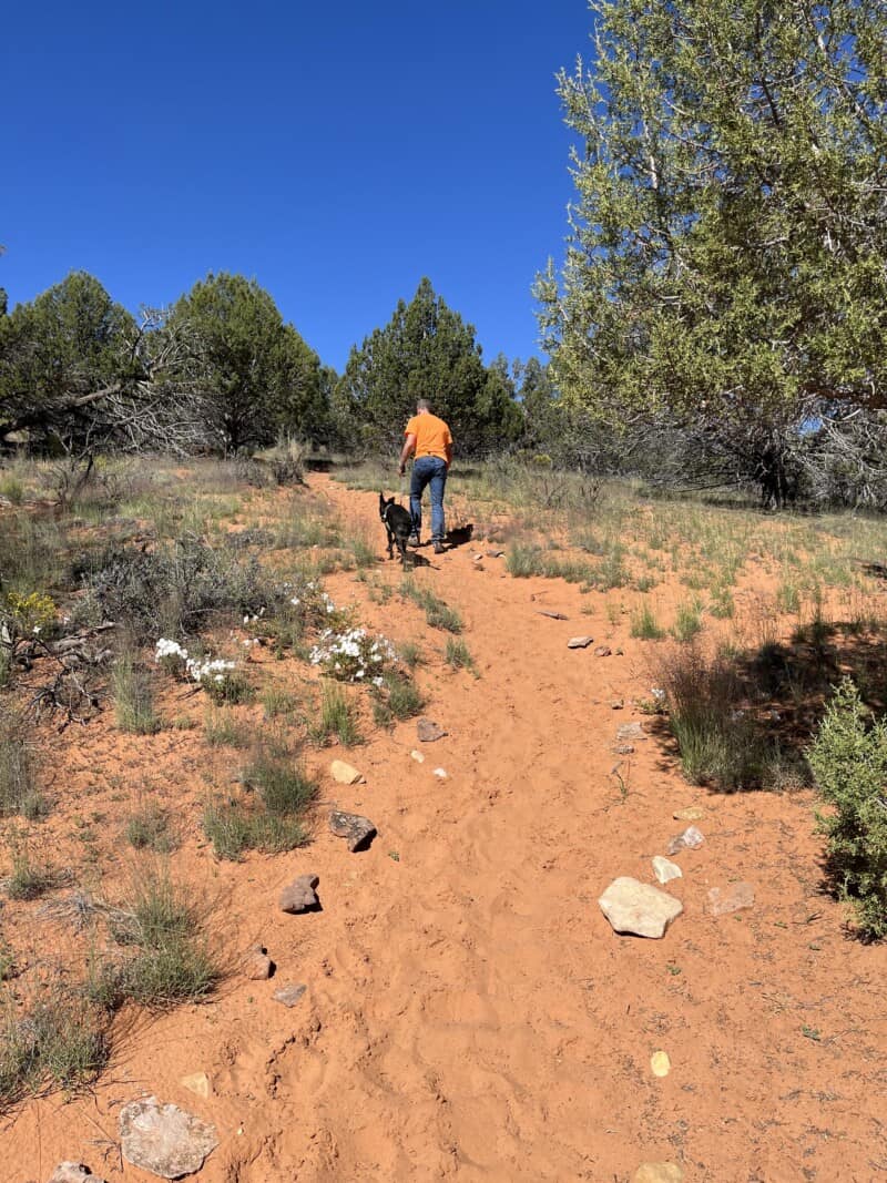 Man and brindle dog on Angels Overlook Trail in Best Friends Animal Sanctuary in Kanab, Utah