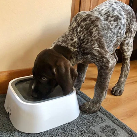 No-spill water bowl (Anti gulping water bowl)