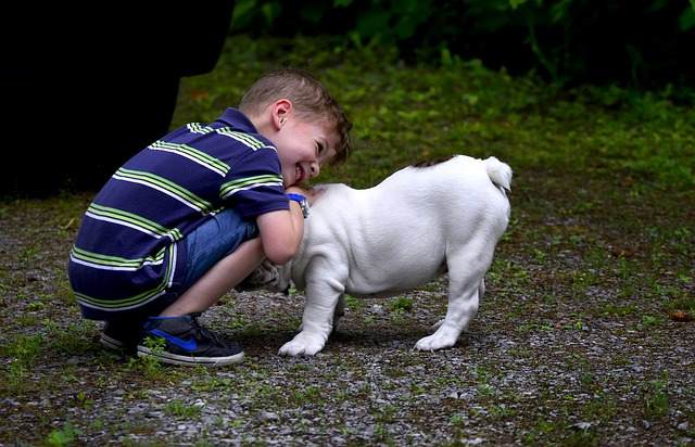 autism-boy-and-dog.jpg