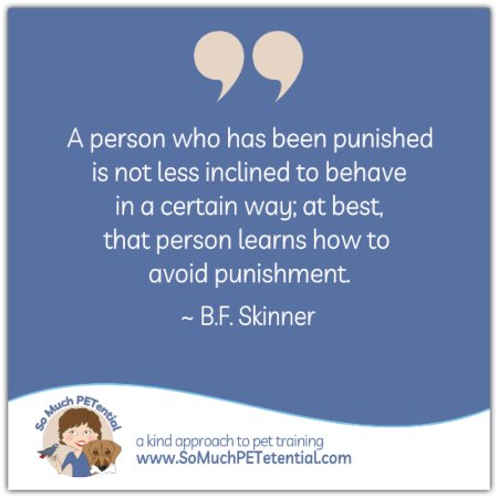 This B.F. Skinner quote on behavior is an important reminder about the fallback of punishment when it comes to teaching and changing behavior: “A person who has been punished is not thereby simply less inclined to behave in a given way; at best, he learns how to avoid punishment.” 