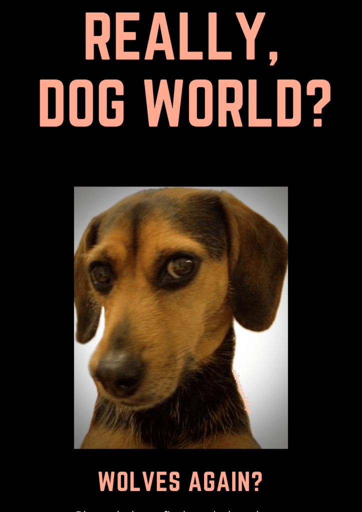 A poster with text that says:
"Really, dog world? Wolves again?" There is a head shot photo of a black and rust dog looking dubious, with slight "side-eye" at the photographer.