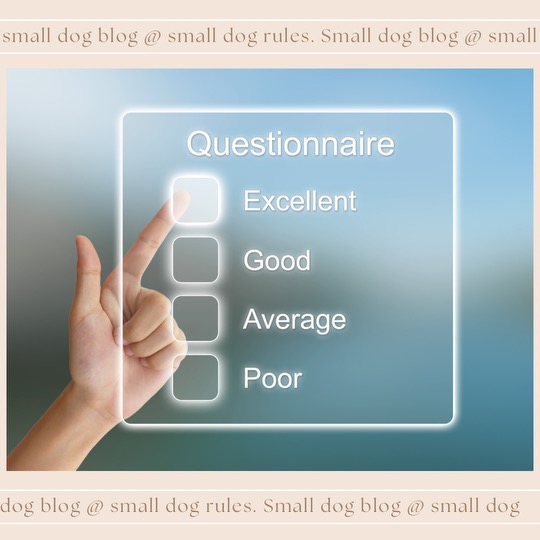 Graphic floating questionnaire with female human hand pointing at options