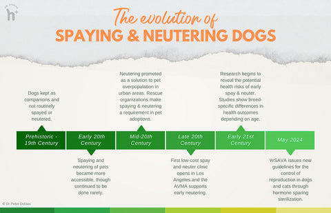 The evolution of spaying and neutering of dogs