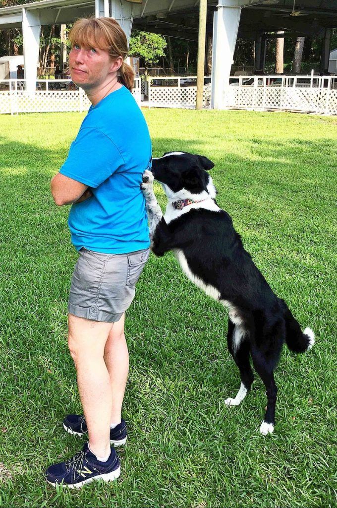 A woman wearing a blue shirt and shorts stands with her back to a border collile, who is on his hind legs and digging his claws into her back. The woman is rolling her eyes. 